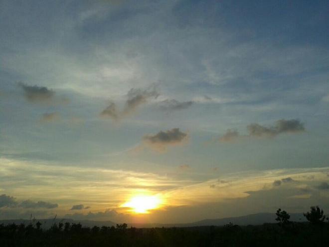 Senja di Hutan Bangsal