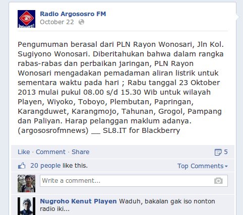 plnpengumuman