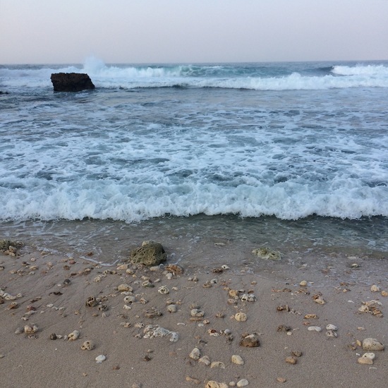 IMG_4717.landscape 3