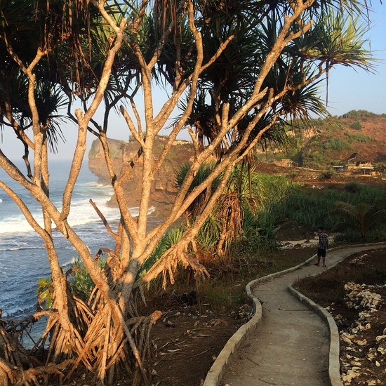 IMG_4718.walking track