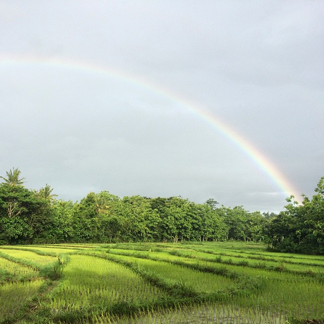 10899421_1565493277029136_902536600_n