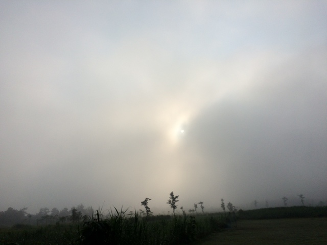 gerhana matahari di gunungkidul sebelum shalat gerhana.resized