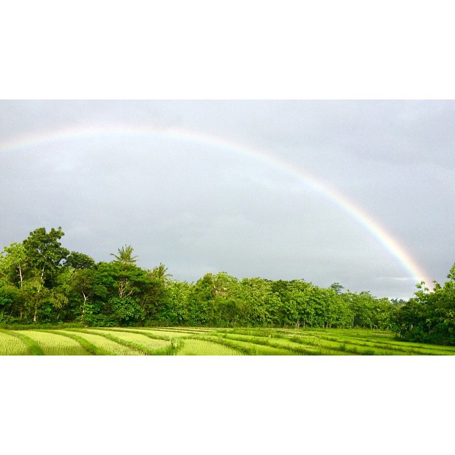 potret pelangi pada pagi hari