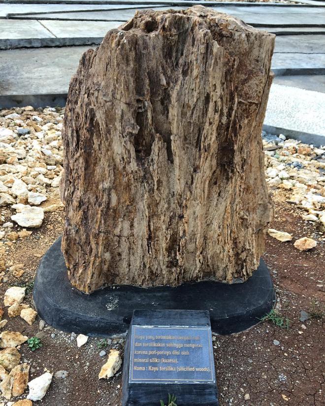 batu 02 taman batu mulo global geopark gunung sewu