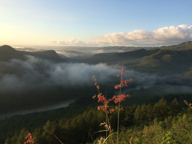 Kabut dan Matahari Terbit di Puncak Panguk Imogiri Bantul