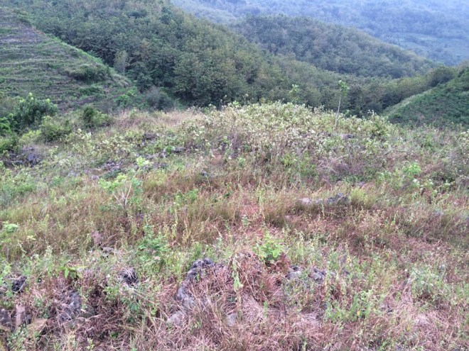 Bukit Pertapan  Turunan Watu Payung Girisuko Panggang Gunungkidul Yogyakarta