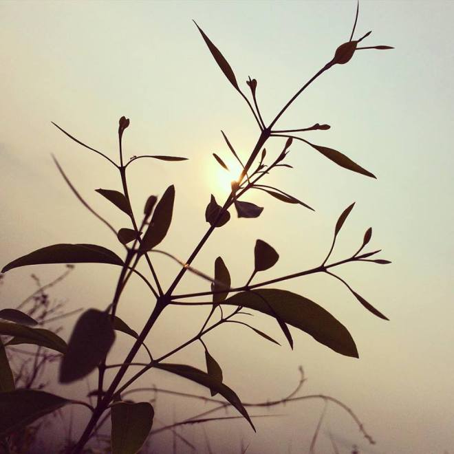 their hopes is our hopes