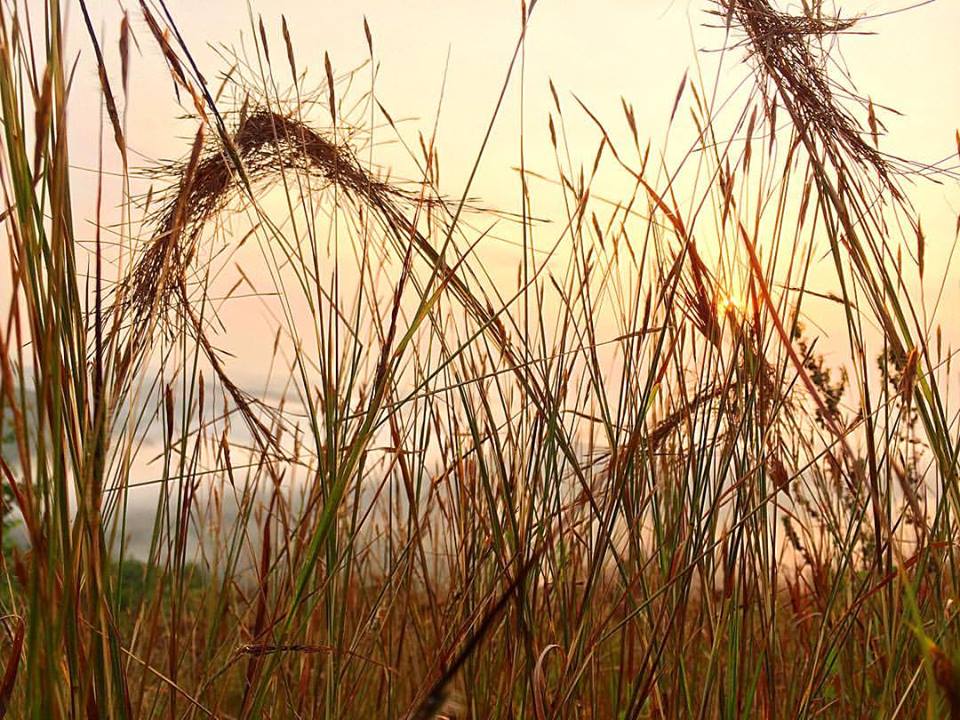 Beautiful Reality (Picture was taken at Bukit Pertapan - Watu Payung Turunan Geoforest Panggang Gunungkidul