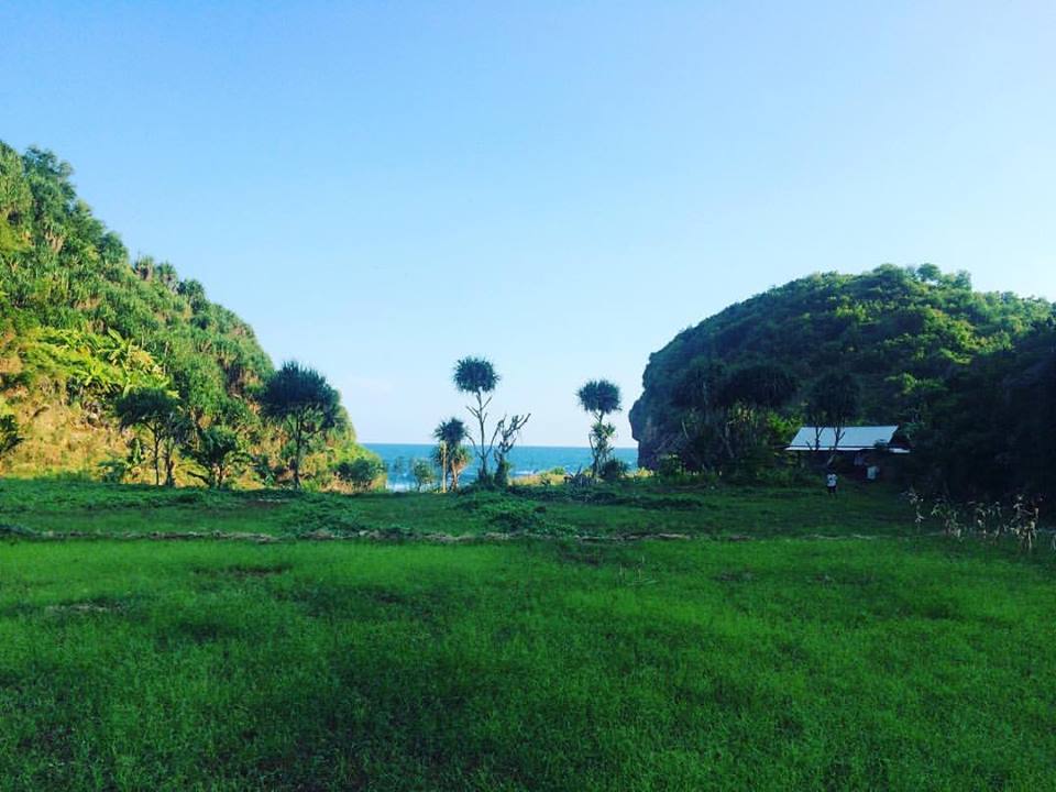 Padang Rumput Kecil Terapit Bukit Bersebelahan dengan Pantai Kayu Arum Kanigoro Gunungkidul