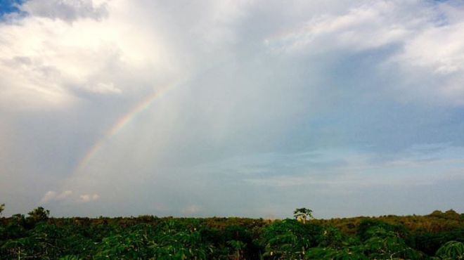 Ada Pelangi di Bulan Juli