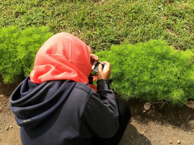 Memotret Semacam Tumbuhan di Situs Candi Risan