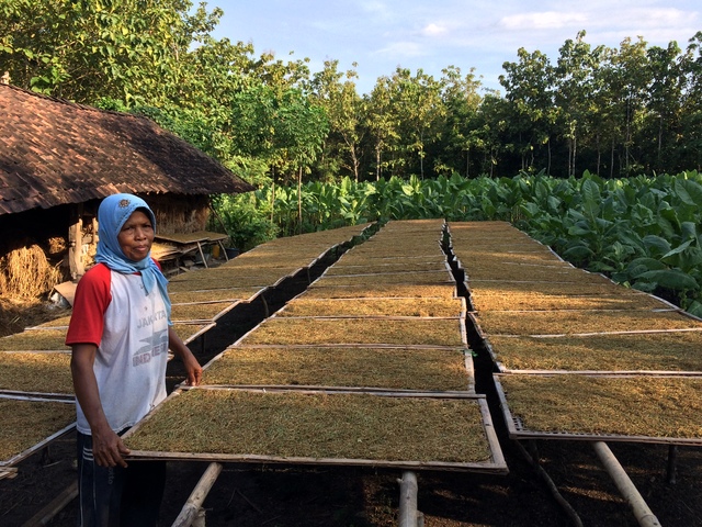Menjemur Uang pada Hari Raya