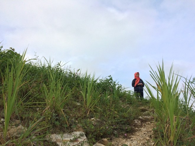 Mendaki ke Puncak Bukit Telaga Biru Candisari Semin Gunungkidul