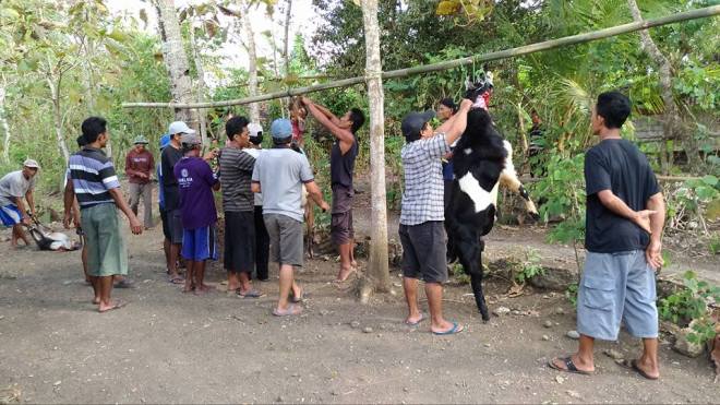 14264842_10209807517971971_2773542318671346560_n