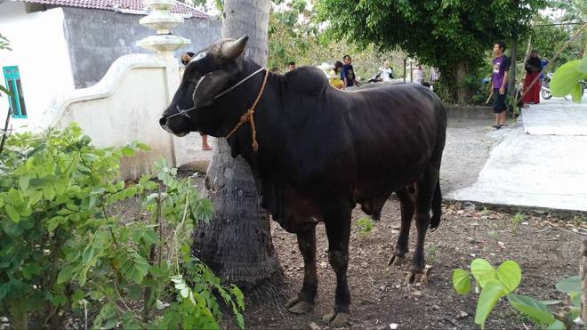 14344849_10209807520452033_3067373675885495288_n