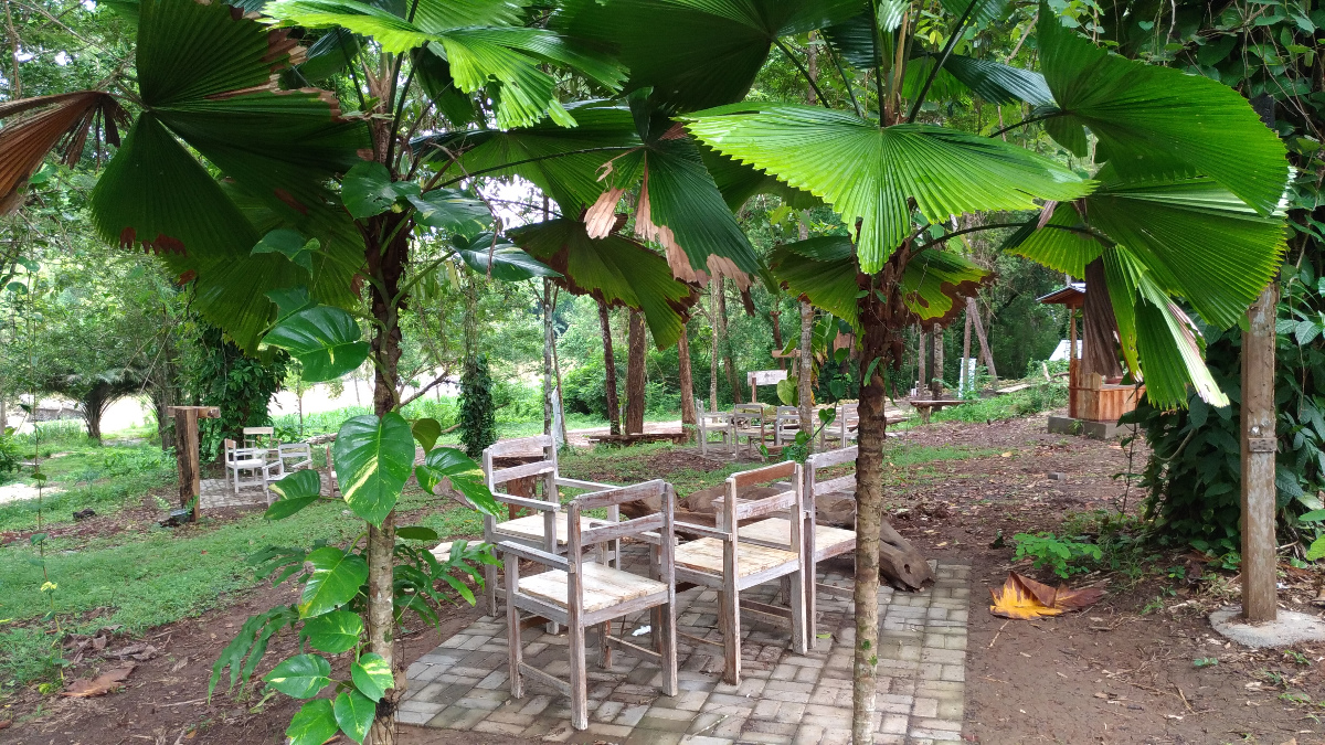 Serene at Wanagama Eduforest - Gunungkidul