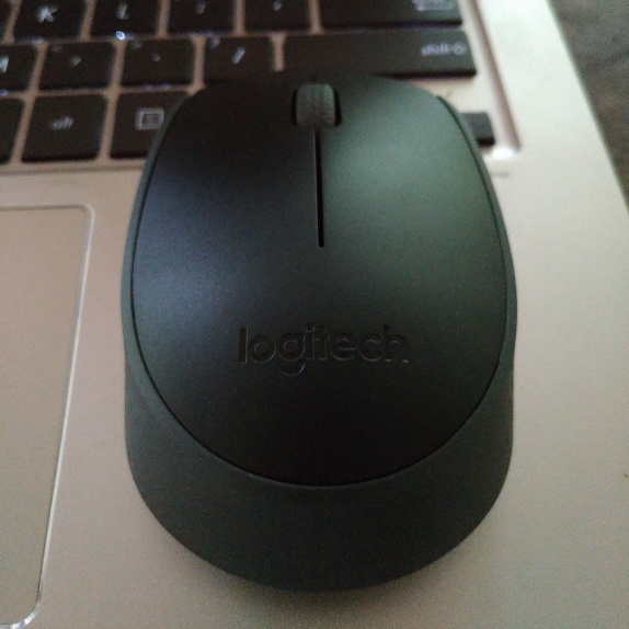 Wireless Mouse Logitech M 170