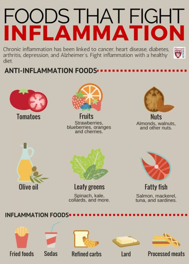 anti inflamasi